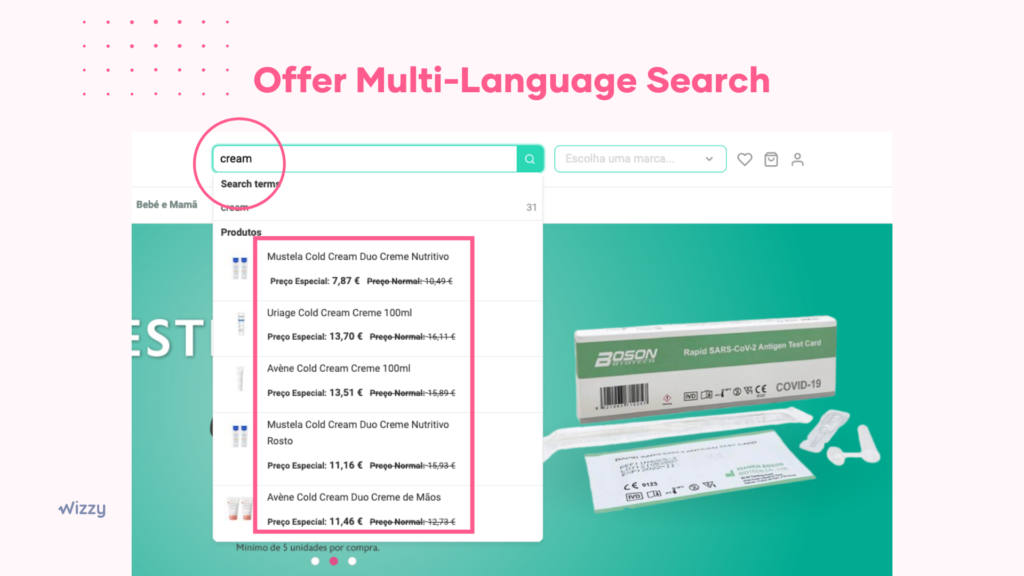Offer Multi-Language Search